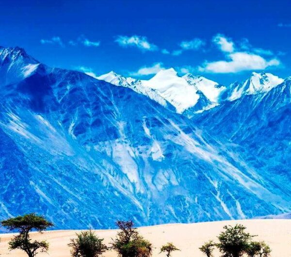 Nubra-Valley-Ladakh-1140×530